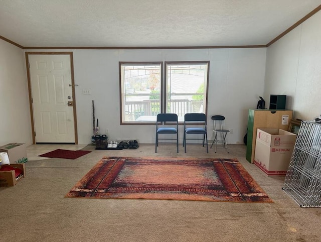 interior space featuring a textured ceiling, carpet flooring, and crown molding