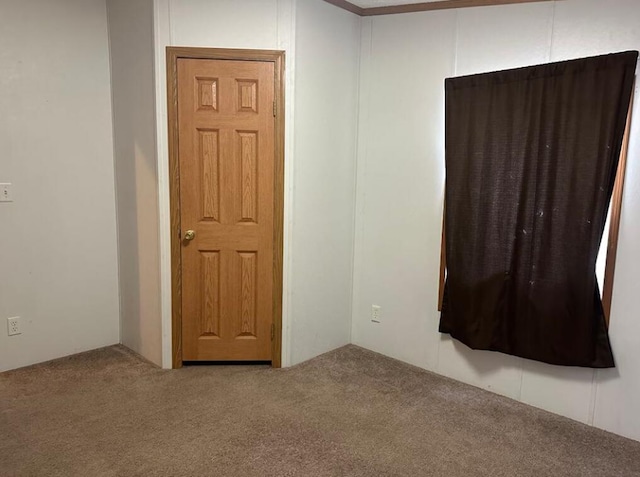 spare room featuring carpet flooring