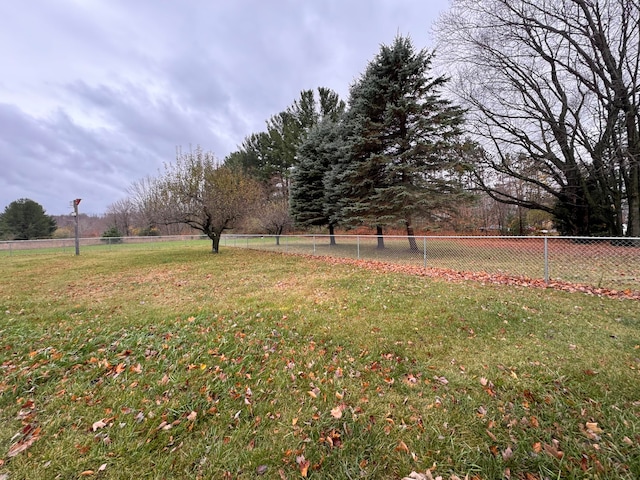 view of yard with a rural view