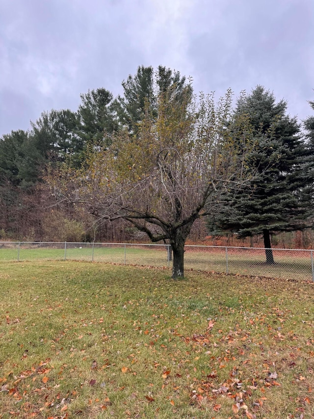 view of yard with a rural view