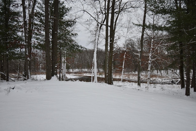 view of yard layered in snow