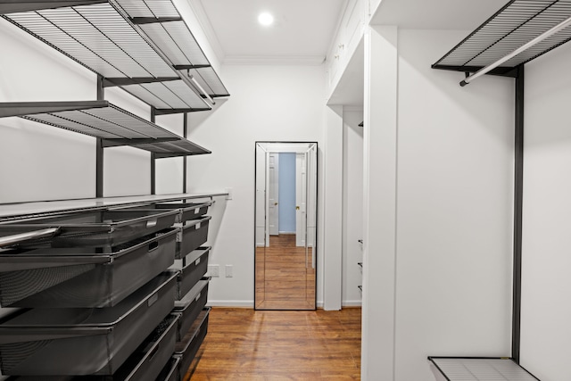 spacious closet with dark wood-type flooring