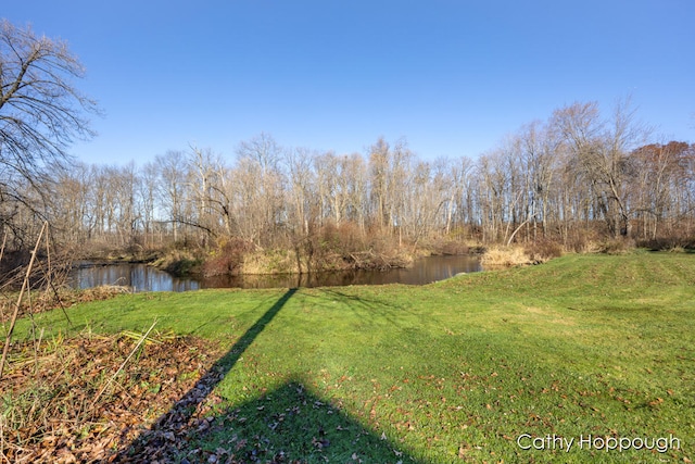 view of yard featuring a water view