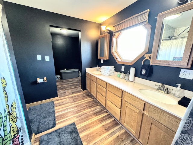 bathroom with hardwood / wood-style flooring and vanity