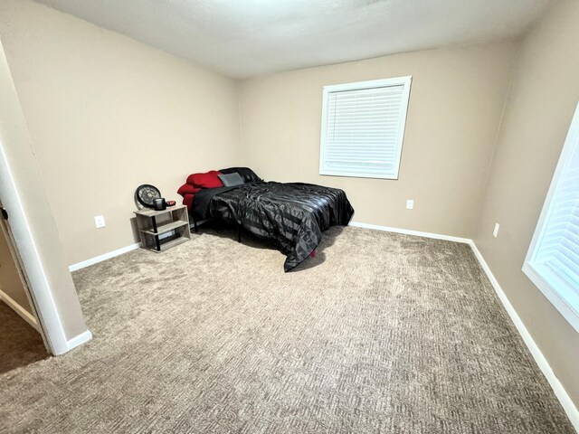 bedroom featuring carpet flooring