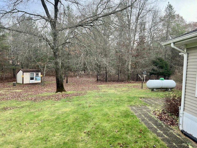 view of yard with a shed