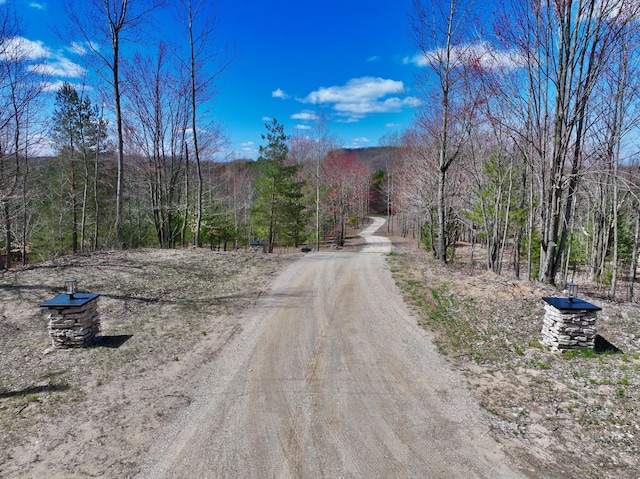 3945 N 45 1/2 Rd, Manton, MI 49663 - photo 2
