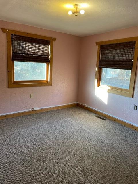 spare room with carpet flooring