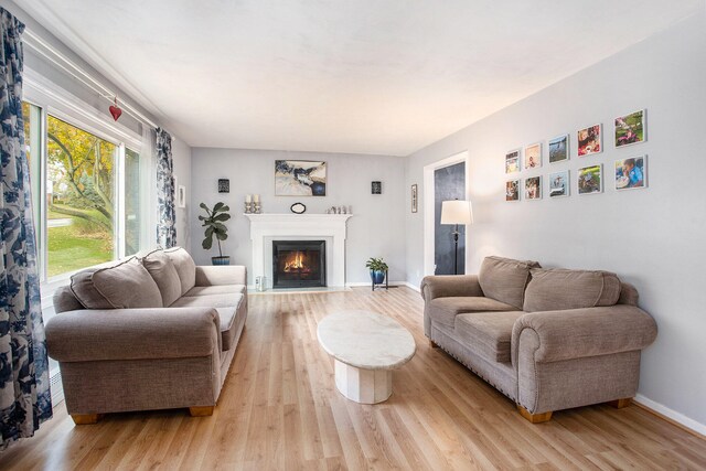 living room with light hardwood / wood-style floors