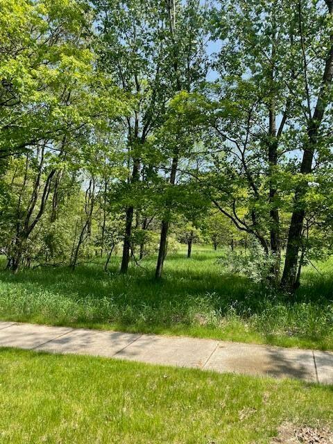 V/L Cook St, Montague, MI 49437 - photo 3