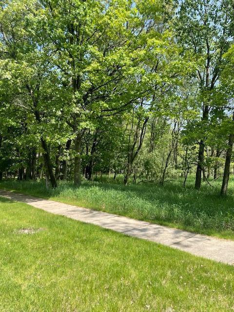 V/L Cook St, Montague, MI 49437 - photo 4