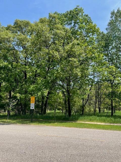 V/L Cook St, Montague, MI 49437 - photo 6