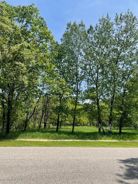 V/L Cook St, Montague, MI 49437 - photo 8