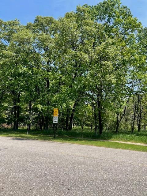 V/L Cook St, Montague, MI 49437 - photo 9