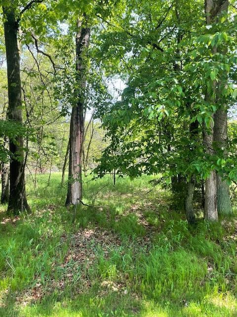V/L Cook St, Montague, MI 49437 - photo 10