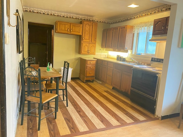 kitchen featuring light hardwood / wood-style floors, range with electric cooktop, and sink