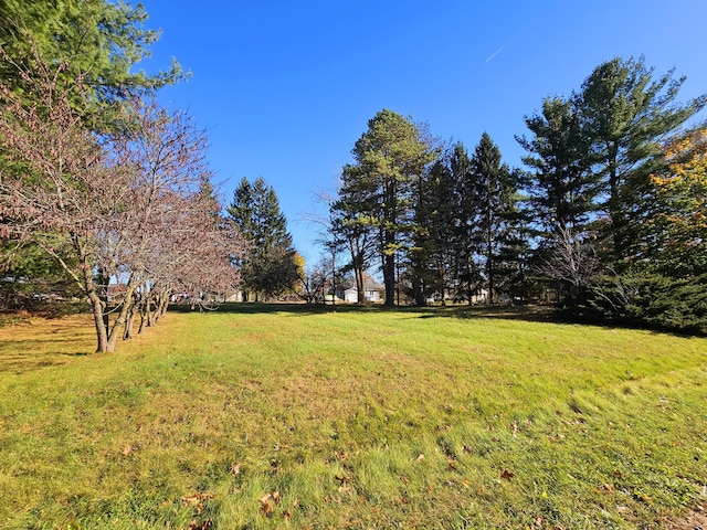 10791 Montview Dr, Jerome, MI 49249