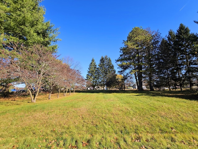 10791 Montview Dr, Jerome, MI 49249