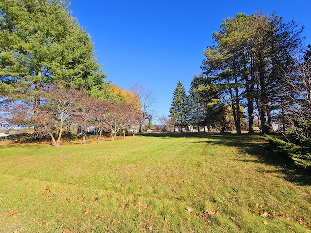 10791 Montview Dr, Jerome, MI 49249