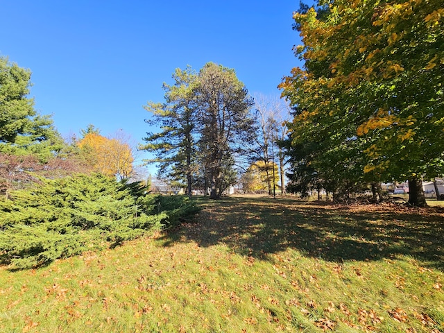 10791 Montview Dr, Jerome, MI 49249