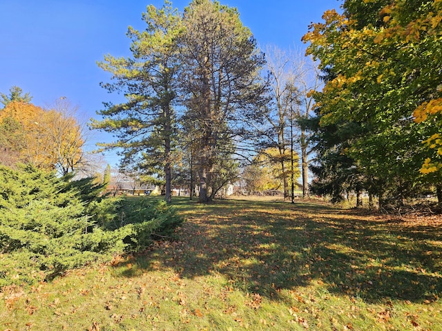 10791 Montview Dr, Jerome, MI 49249