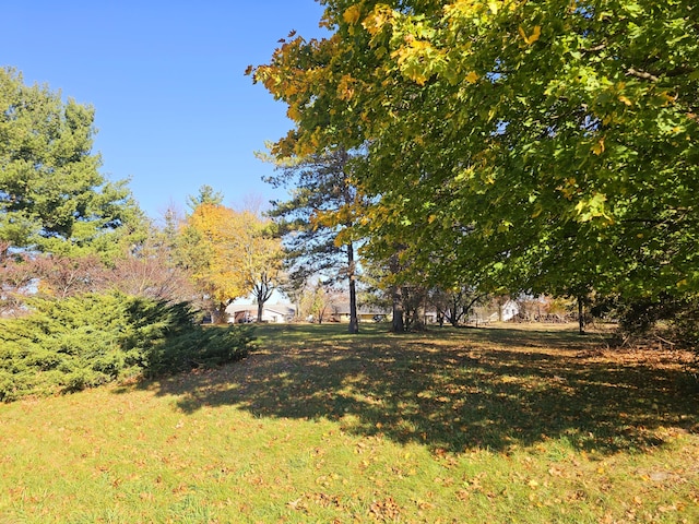 10791 Montview Dr, Jerome, MI 49249
