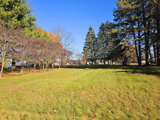 10791 Montview Dr, Jerome, MI 49249