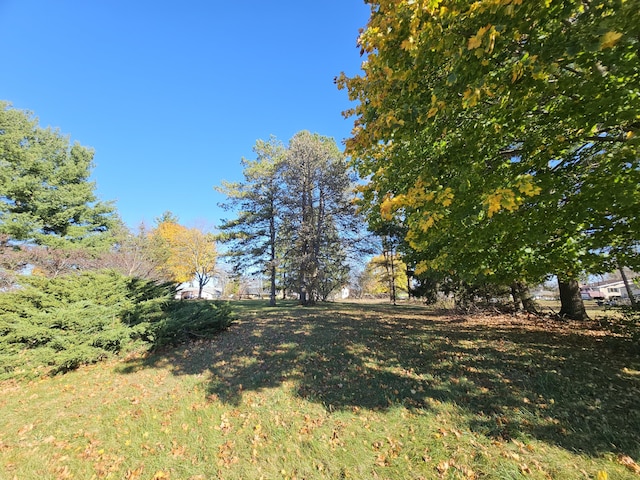 10791 Montview Dr, Jerome, MI 49249