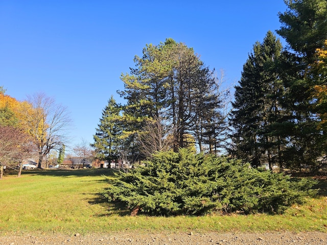 10791 Montview Dr, Jerome, MI 49249