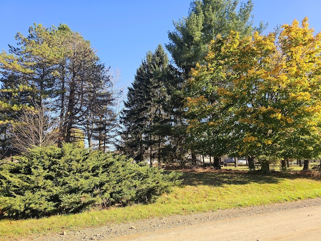 10791 Montview Dr, Jerome, MI 49249
