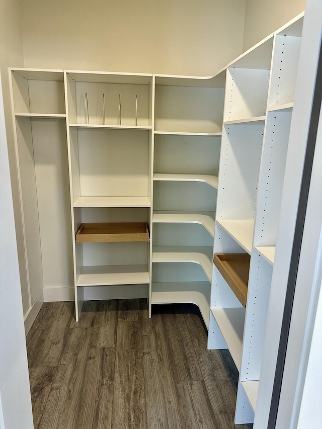 walk in closet with dark wood-type flooring