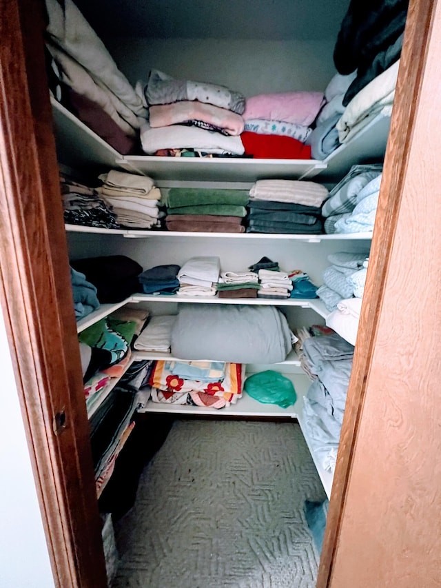 212 Saint Anne Ln, Monroe, MI 48162 - view of spacious closet