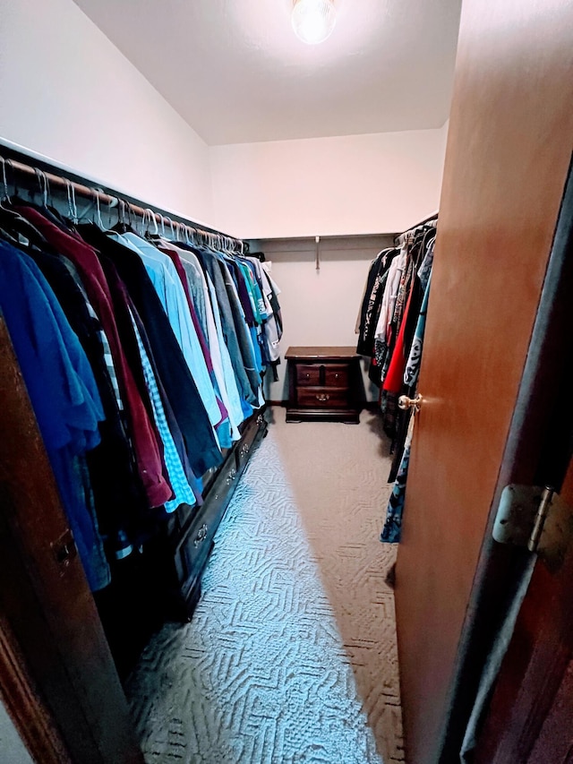 212 Saint Anne Ln, Monroe, MI 48162 - spacious closet featuring carpet