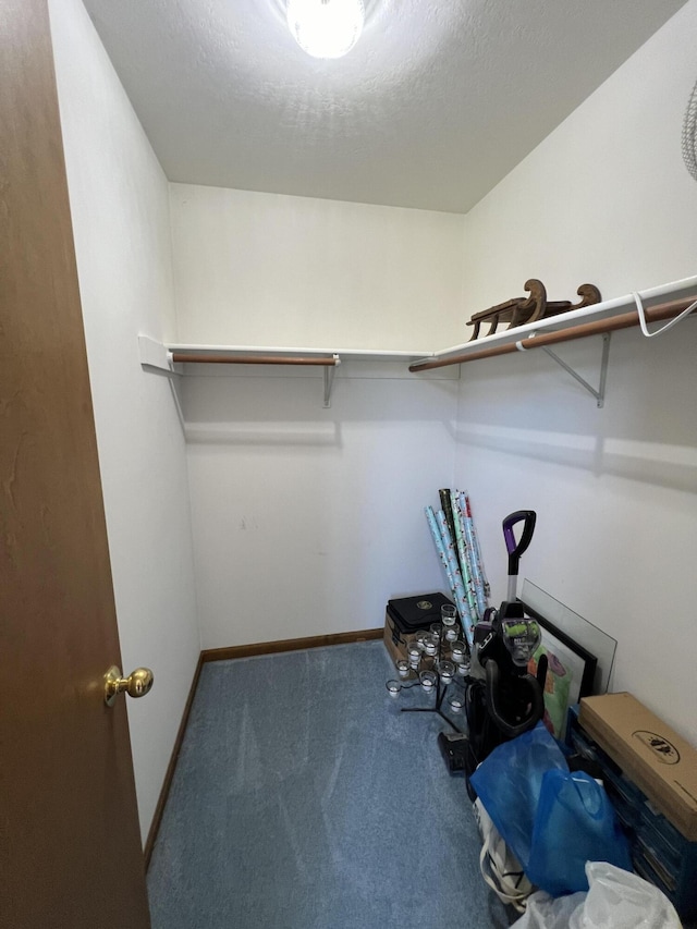 212 Saint Anne Ln, Monroe, MI 48162 - spacious closet featuring carpet flooring