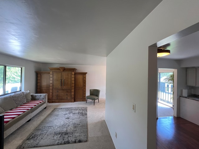 living room featuring dark hardwood / wood-style flooring and a wealth of natural light