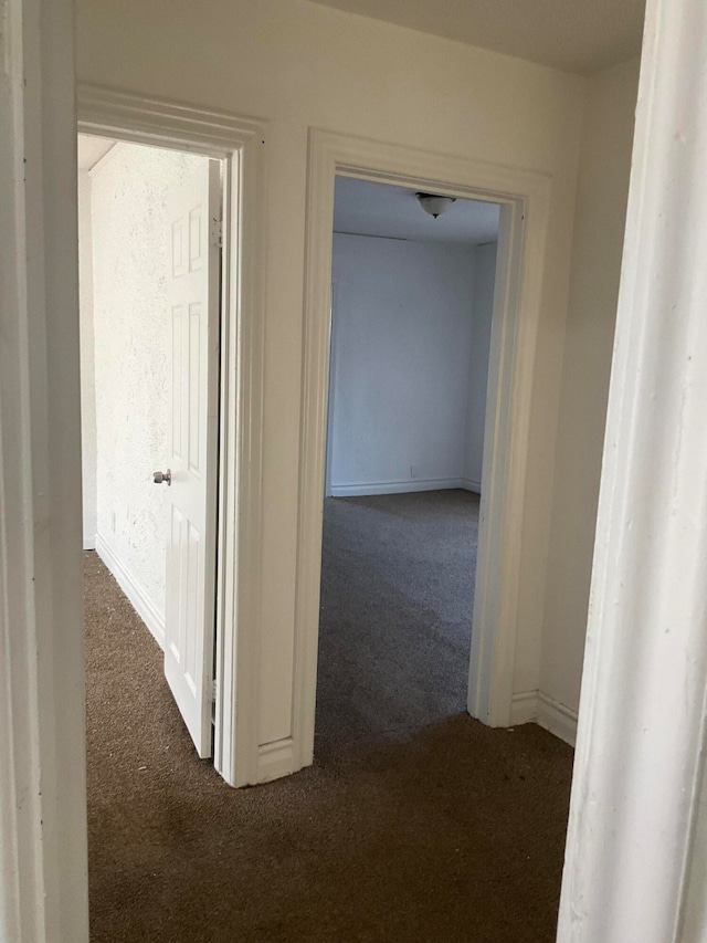 13388 Wilshire Dr, Detroit, MI 48213 - corridor with dark carpet