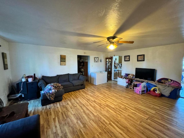 living room featuring light hardwood / wood-style floors and ceiling fan