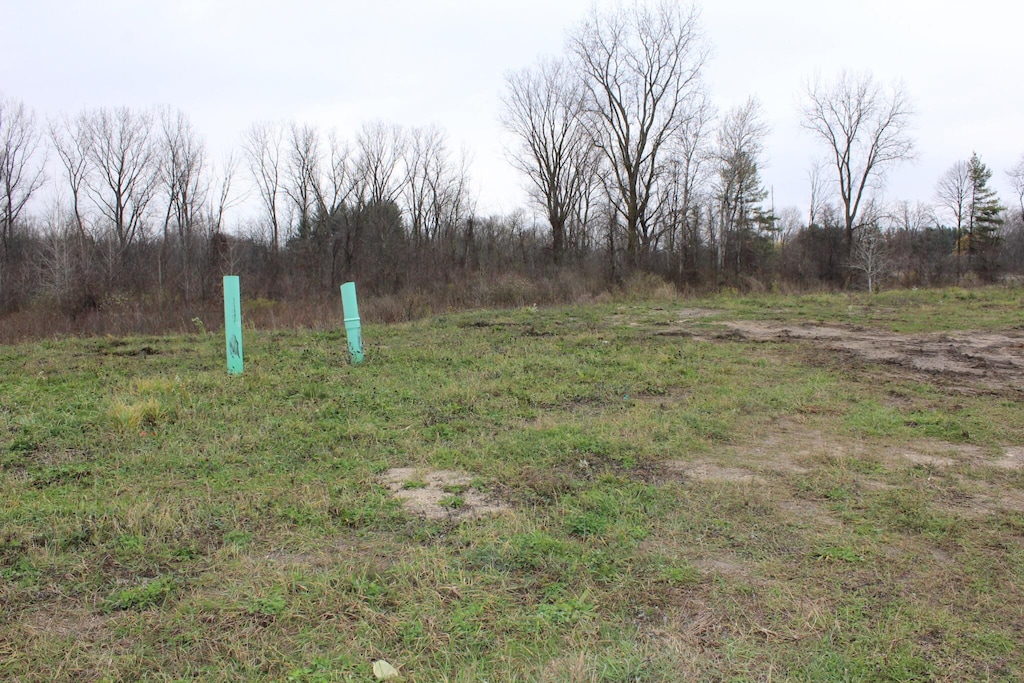 8045 Tantrum Dr Unit 100, Allendale, MI 49401 - photo 2