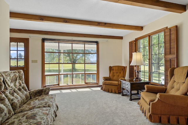 sitting room with carpet and beam ceiling