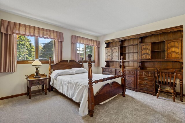 bedroom with carpet floors