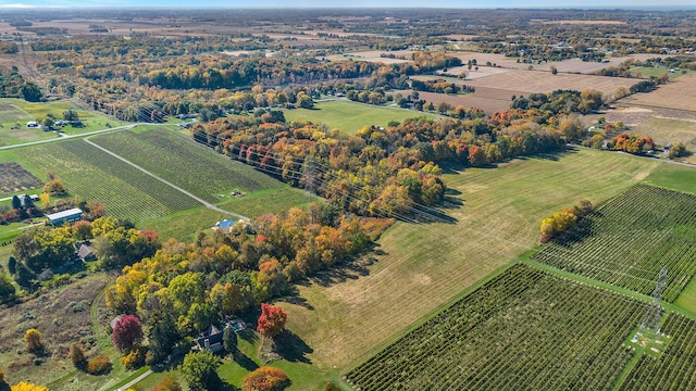 aerial view with a rural view