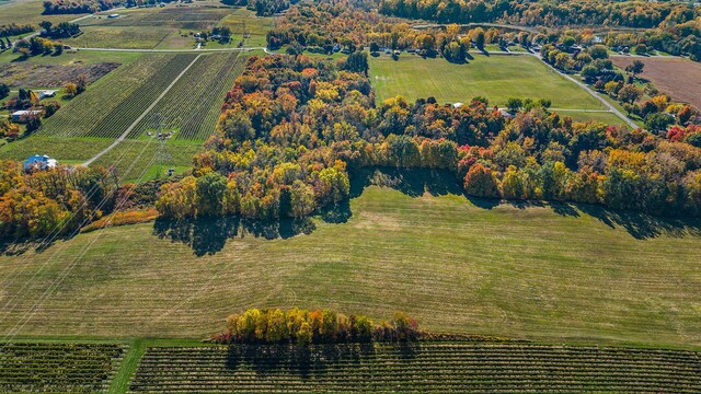 birds eye view of property with a rural view