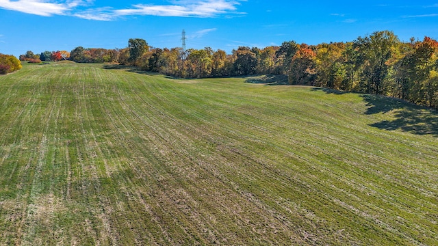 view of yard with a rural view