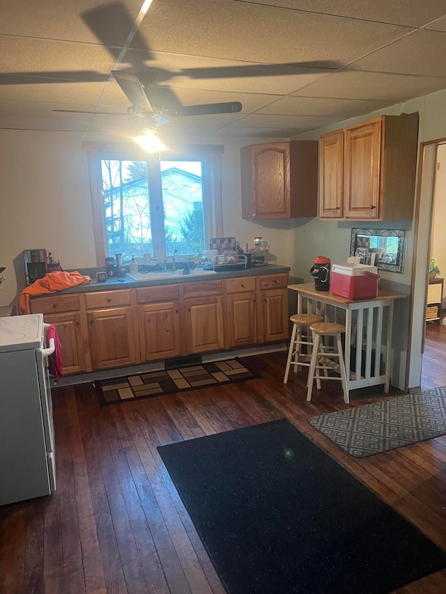 kitchen featuring ceiling fan, stove, dark hardwood / wood-style floors, and sink