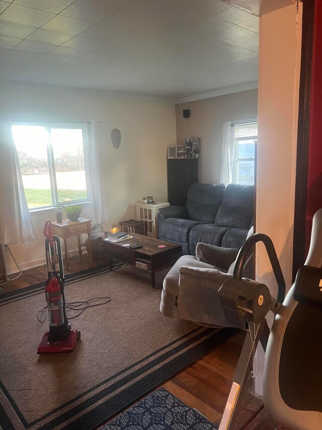 living room with hardwood / wood-style flooring and plenty of natural light