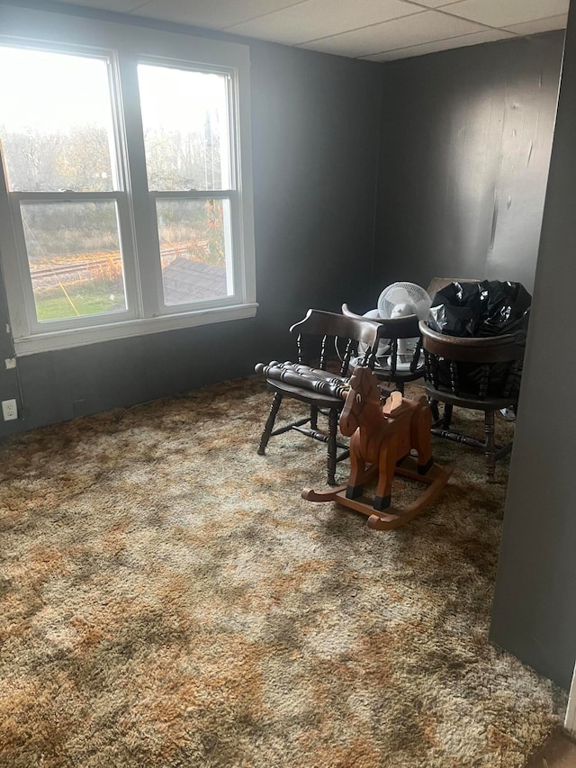 misc room featuring a paneled ceiling and carpet