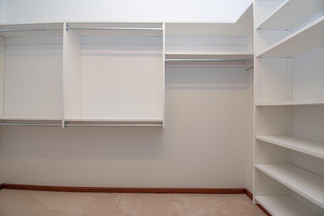 spacious closet with light carpet