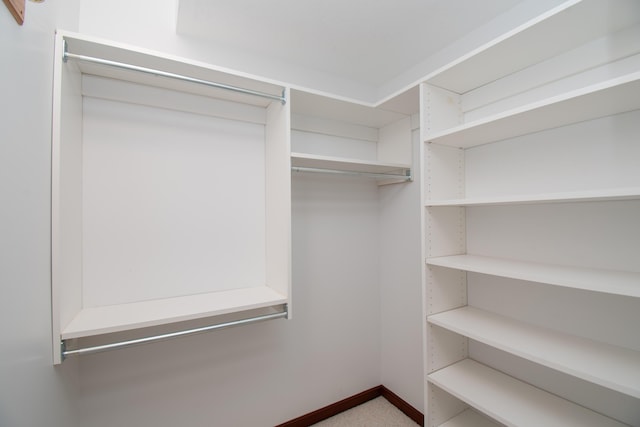 view of spacious closet