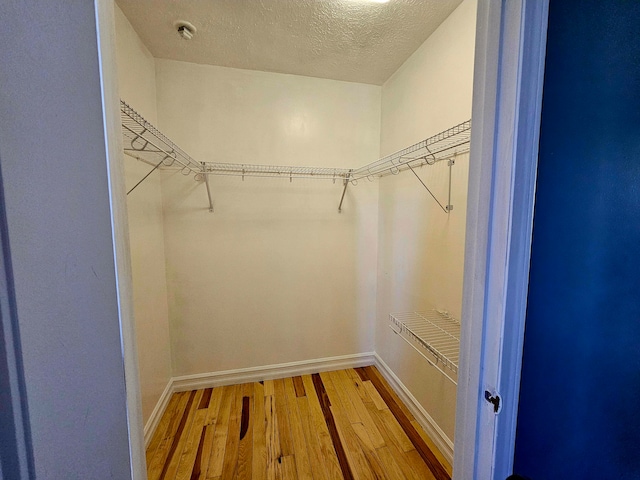 walk in closet featuring hardwood / wood-style floors