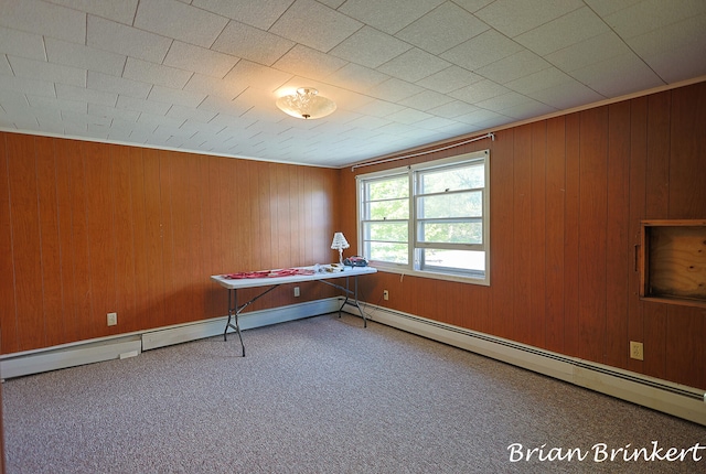 interior space featuring wooden walls and carpet